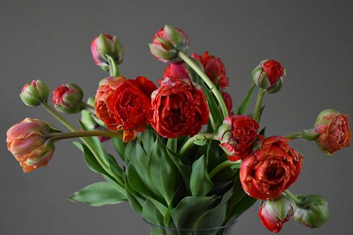 Blumenstrauß rote Tulpen in einer Vase