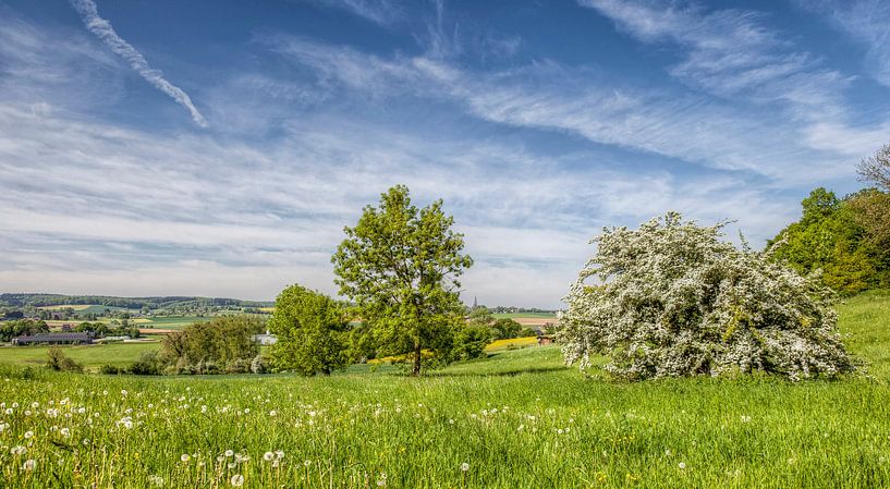 Panorama Mamelis en Vijlen in Zuid-Limburg van John Kreukniet