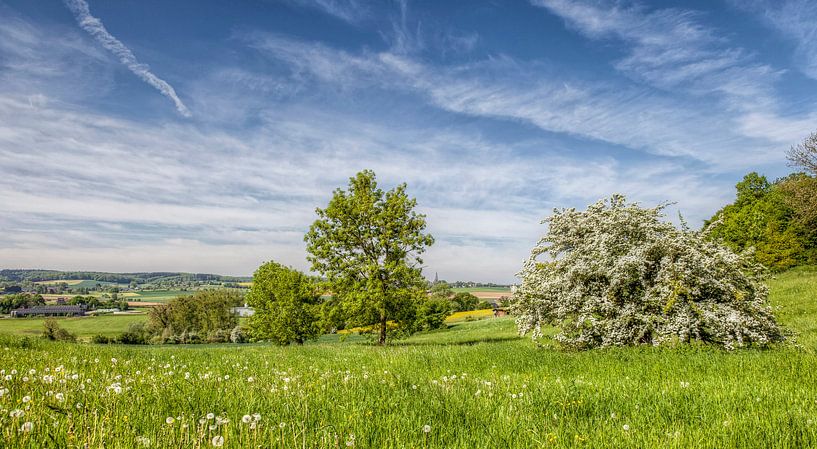 Panorama Mamelis en Vijlen in Zuid-Limburg von John Kreukniet