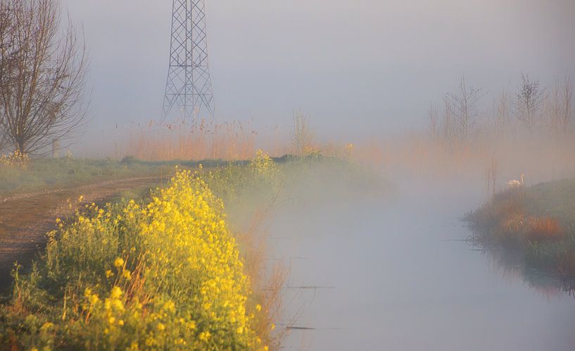voorjaars mist van natascha verbij