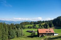Berglandschap in de Alpen van Vorarlberg in Oostenrijk van Sjoerd van der Wal Fotografie thumbnail