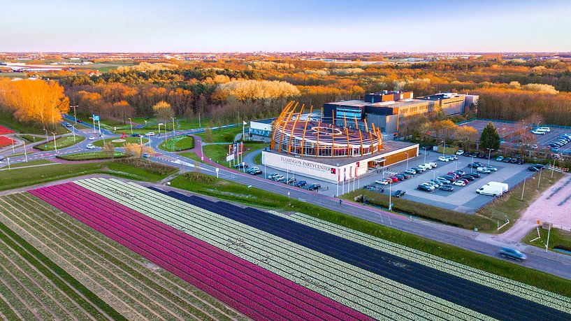 Flamingo's Partycenter Noordwijkerhout by Rene Ouwerkerk