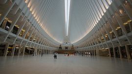 World Trade Center Transportation Hub
