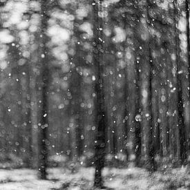 Wirbelnder Schnee, abstrakt von Yanuschka | Fotografie Noordwijk