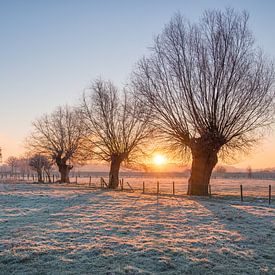 Grensmaas, Meers, South Limburg. by Ramon Stijnen
