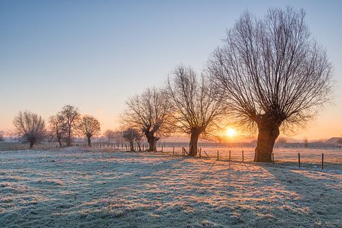 Grensmaas, Meers, Limbourg Sud. sur Ramon Stijnen