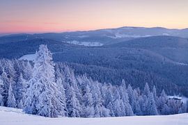 Winterlandschaft am Belchen bei Sonnenaufgang im  Schwarzwald von Markus Lange