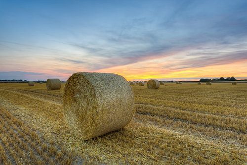 Bales of straw in summer