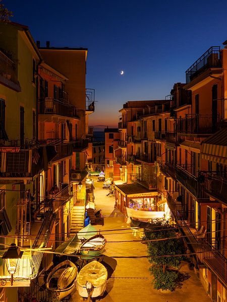 Manarole village with moon by Thijs Friederich