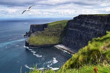 The Cliffs of Moher by Maaike Hartgers