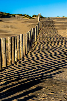 Clôture en sable près de Parnassia