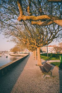 Boulevard entlang des Hafens