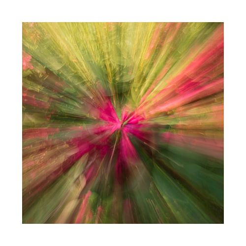 Zoom blur photography