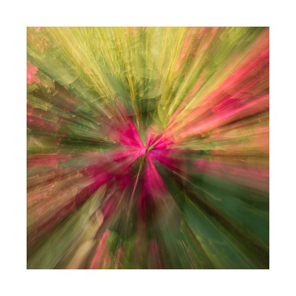 Zoom blur photography by Mirna!  Fotografie