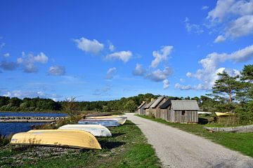 Danbo Natuurreservaat op Gotland van Karin Jähne