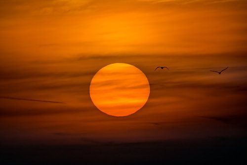 Een vlucht naar de zon