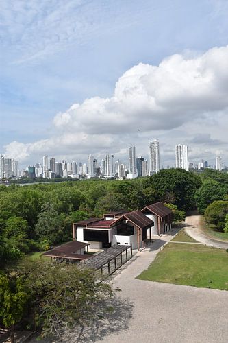 Uitzicht op de moderne stad in de verte