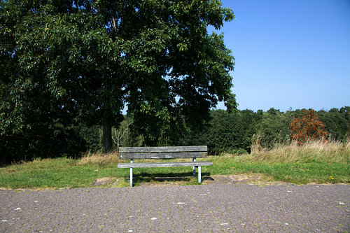 Ontdek de natuur in een bosrijk gebied in Emsland, Nedersaksen, Duitsland