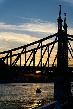 De historische Vrijheidsbrug, Szabadsag verborg in Boedapest van Heiko Kueverling
