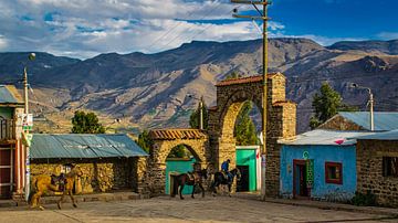 Platz der Coporaque mit Pferden in der Abendsonne, Peru von Rietje Bulthuis