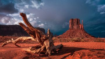 Monument Valley van Photo Wall Decoration