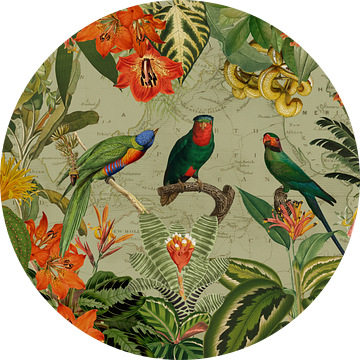Exotische papegaai in het regenwoud van Floral Abstractions