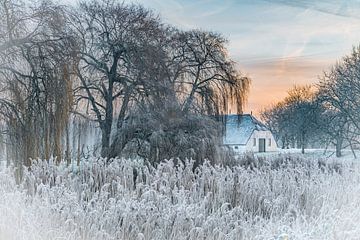 "Winters sfeer in Landgoed Marienwaerdt" van Chris Biesheuvel I  Dream Scapes