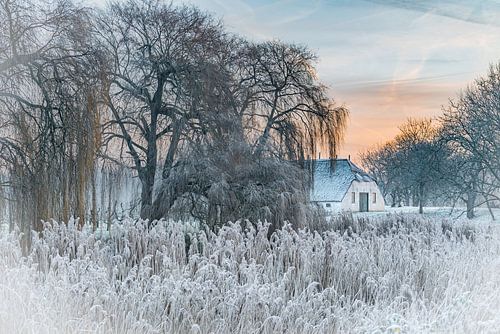 "Winters sfeer in Landgoed Marienwaerdt"