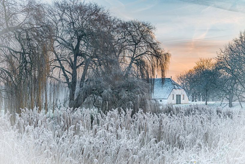 Winter atmosphere in the Betuwe by Chris Biesheuvel I  Dream Scapes