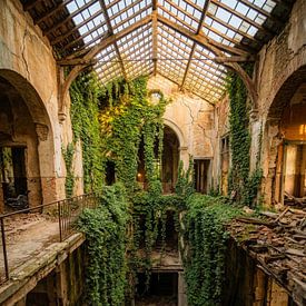 Verlassenes Gebäude mit überwucherter Vegetation von But First Framing