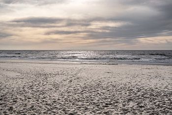 Salty Horizon | The Power of the North Sea