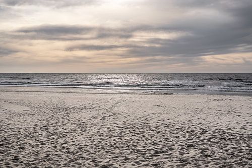 Horizon salé | La force de la mer du Nord