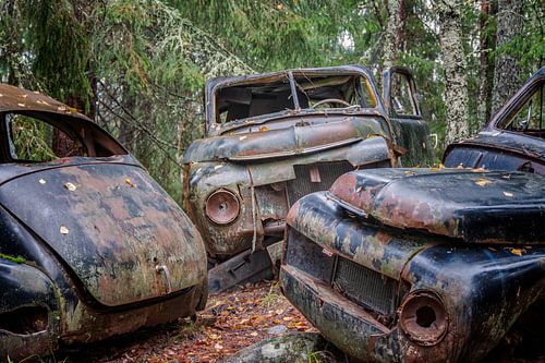 Roestige erfenissen in het bos - autokerkhof in Zweden
