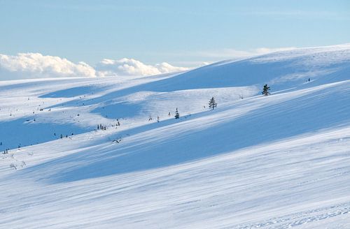 Heuvelachtig winterlandschap