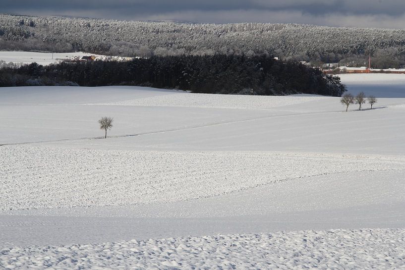 Wald und einzelne Bäume in der Winterlandschaft von Martin Flechsig