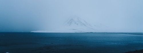 Kijkend over Seljafjordur fjord in IJsland