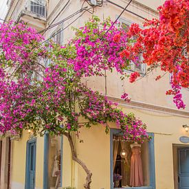 Rue des fleurs en Grèce, dans le Péloponnèse sur Bianca Kramer