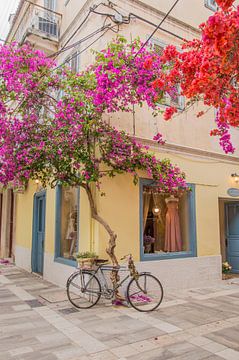 Bloemenstraat in Griekenland, Peloponnesos van Bianca Kramer