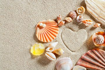 White sandy beach with a heart and shells in the sand by Henny Hagenaars