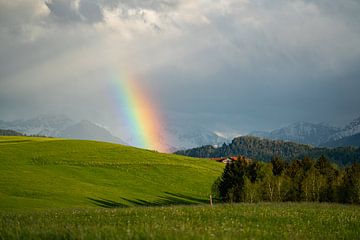 Regenbogen über dem Ostallgäu von Leo Schindzielorz