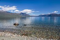 Kust van het Te Anau meer, Nieuw Zeeland van Christian Müringer thumbnail
