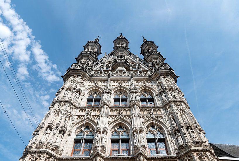 Rathaus von Leuven von Richard Wareham