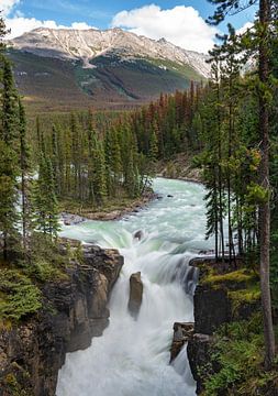 Sunwapta Falls, Jasper National Park, Alberta, Canada van Alexander Ludwig
