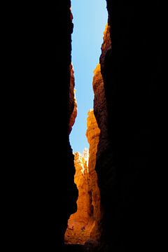 Klif in Bryce Canyon van Robert Poort