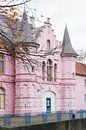 Land van Ooit - roze kasteel von Anki Wijnen Miniaturansicht