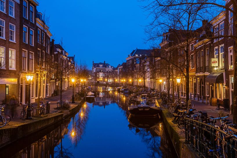 Stadgezicht Leiden van Henk Verheyen