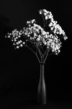 Stilleven met witte bloemen, monochroom van Felix Sedney
