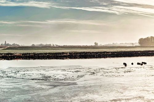 Kager Ader Polder Pays-Bas