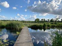 De Alde Feanen. Eernewoude