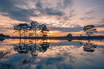 Weerspiegeling van Marco Lok